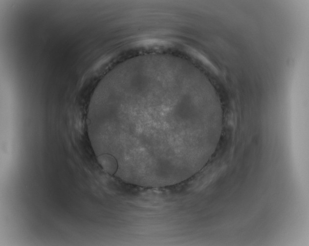 X0000114090869200910131254