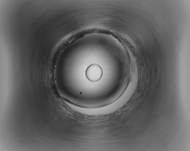 X0000114090872200910131254