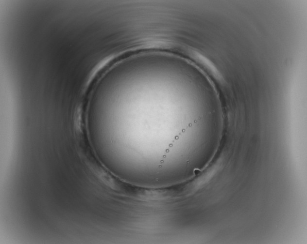 X0000114090875200910131254