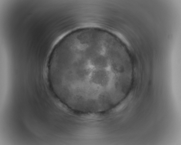 X0000114090879200910131254