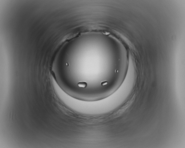 X0000114090881200910131254