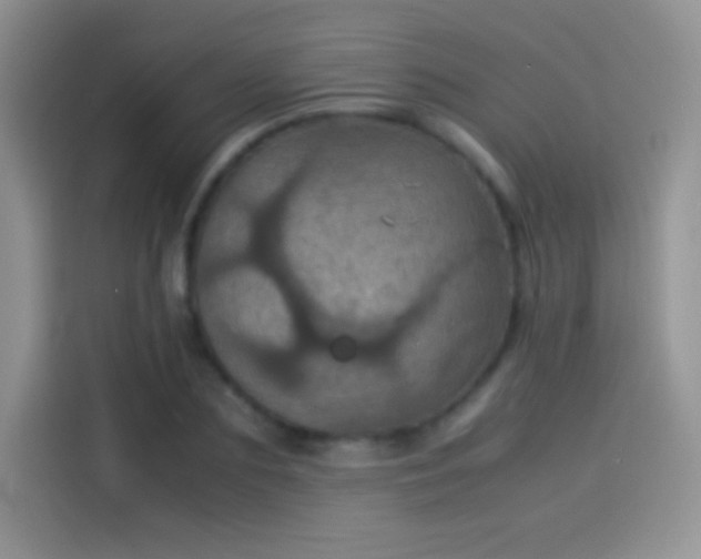X0000114090883200910131254