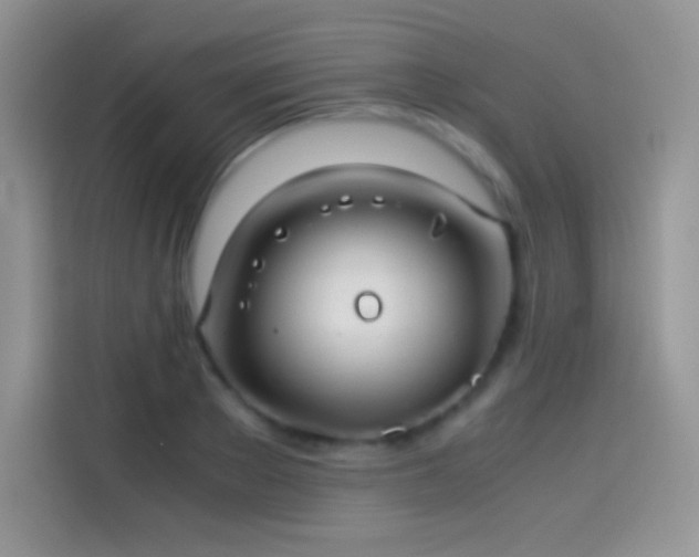 X0000114090889200910131254