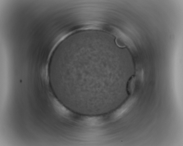 X0000114090892200910131254