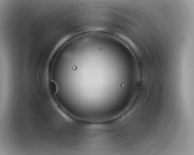 X0000114090894200910131254
