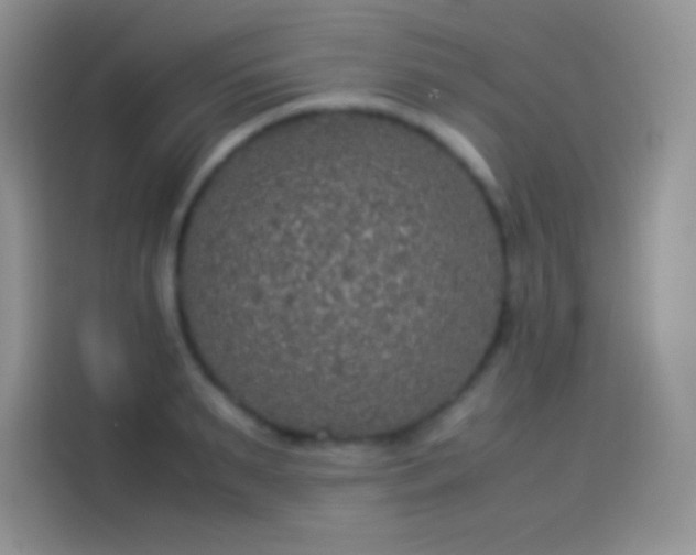 X0000114090895200910131254
