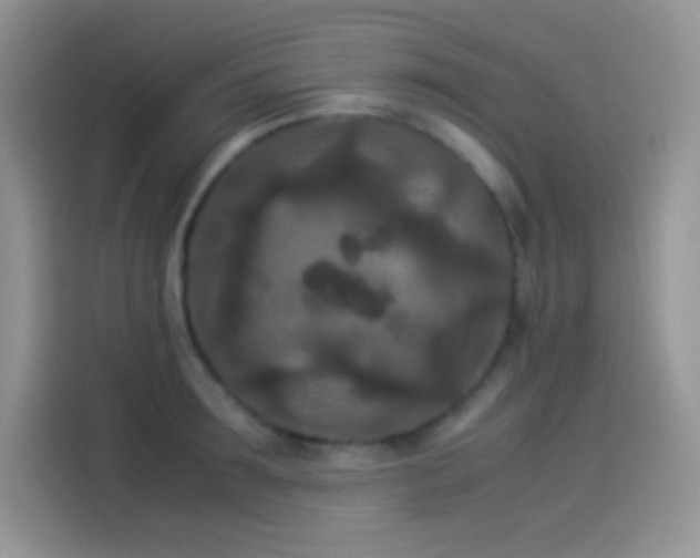 X0000114090899200910131254