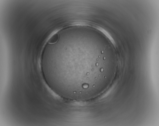 X0000114090901200910131254