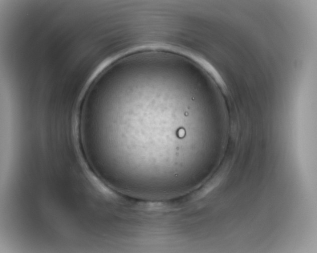 X0000114090903200910131254