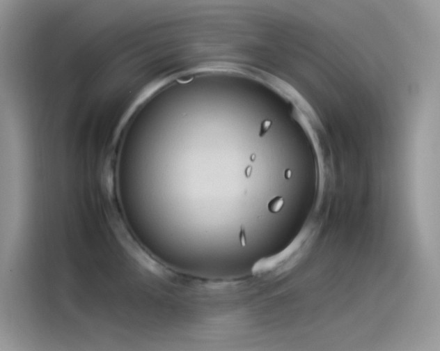 X0000114090908200910131254