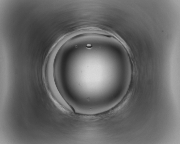 X0000114090909200910131254