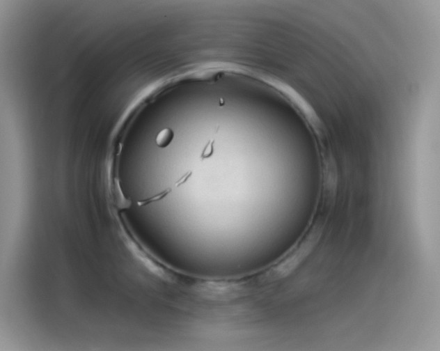 X0000114090910200910131254