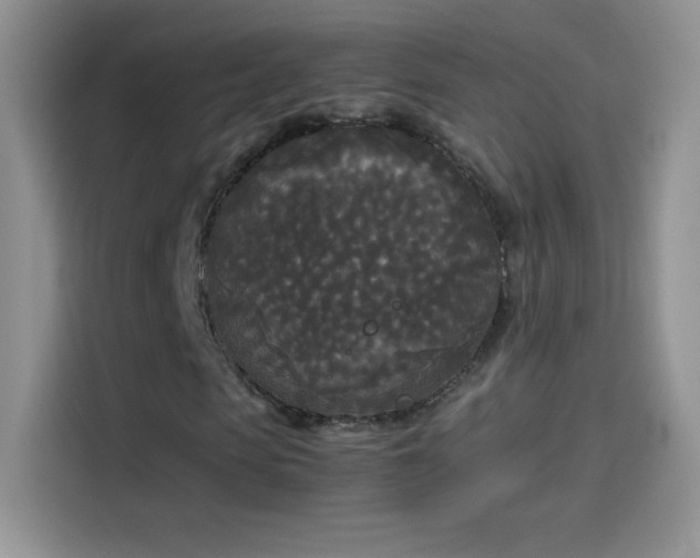 X0000114090913200910131253