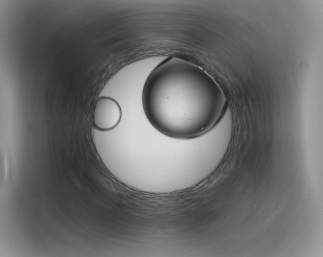 X0000114090916200910131253