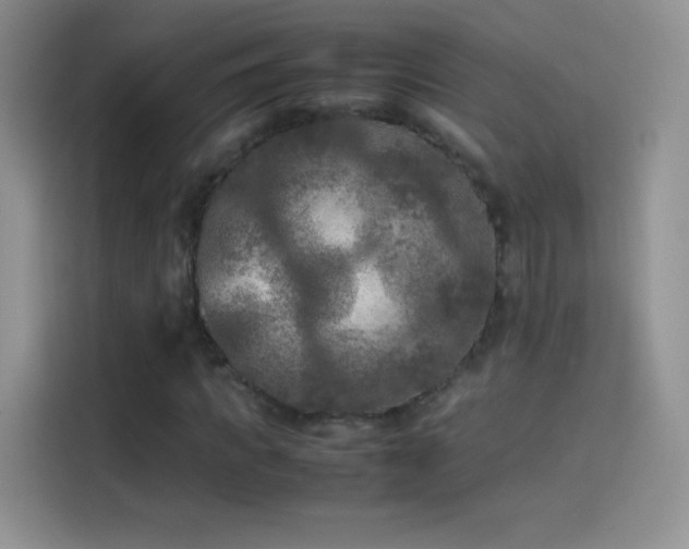 X0000114090917200910131253