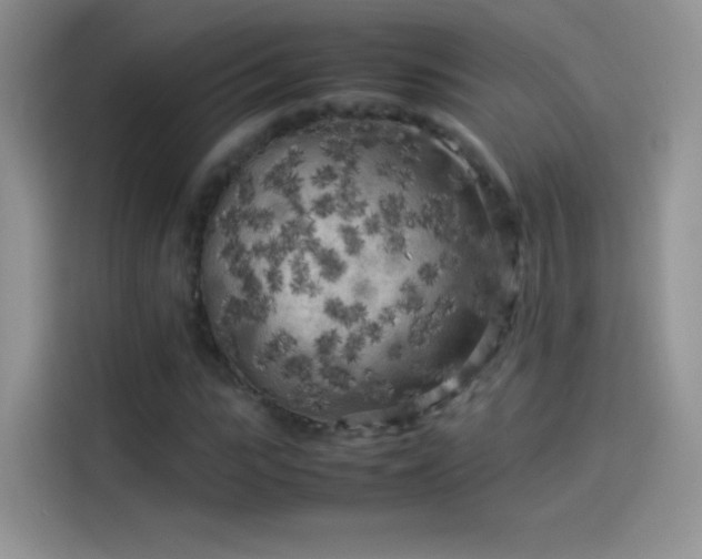 X0000114090919200910131253