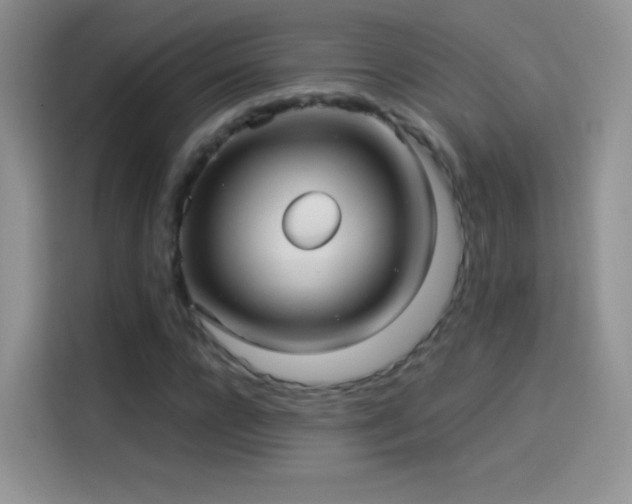 X0000114090920200910131253