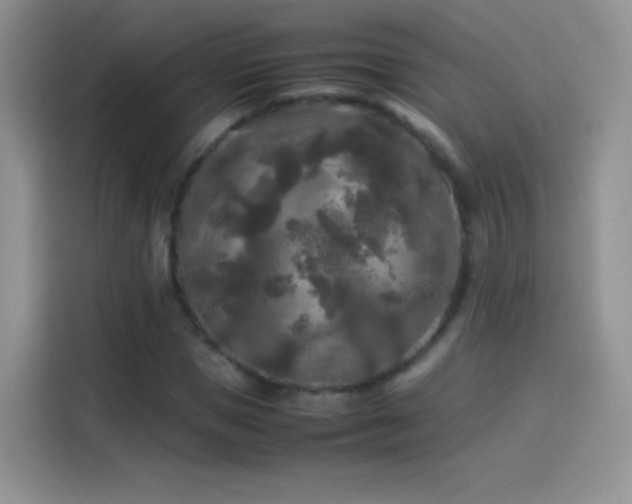 X0000114090921200910131253