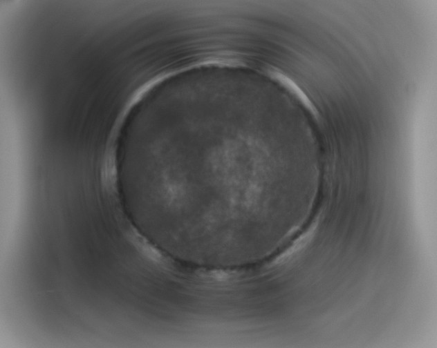 X0000114090923200910131253