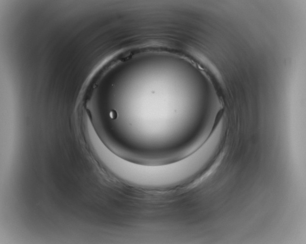 X0000114090925200910131253