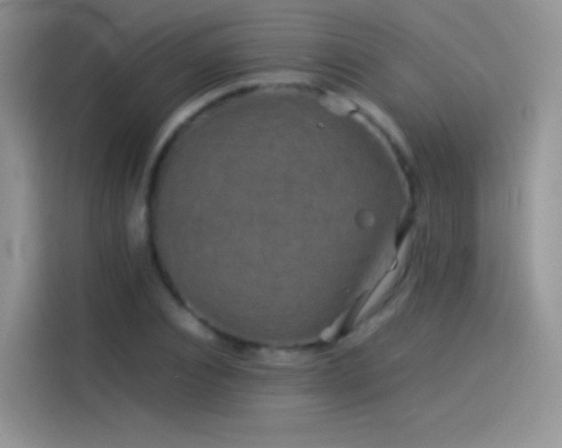 X0000114090928200910131253