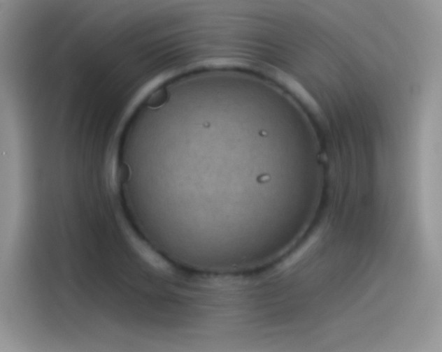 X0000114090934200910131253