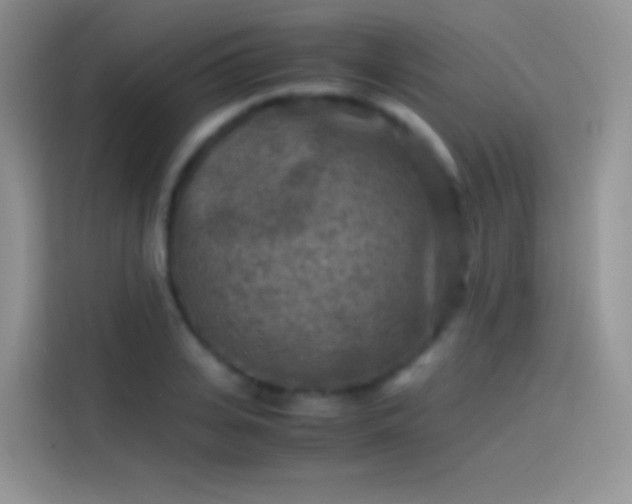 X0000114090935200910131253