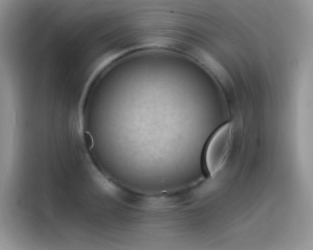X0000114090940200910131253