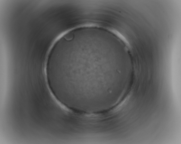 X0000114090943200910131253