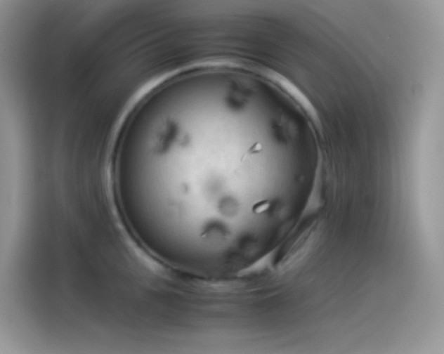 X0000114090951200910131254