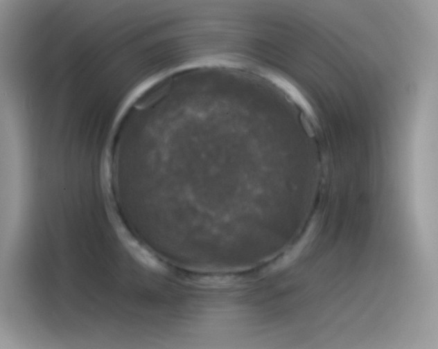 X0000114090952200910131254