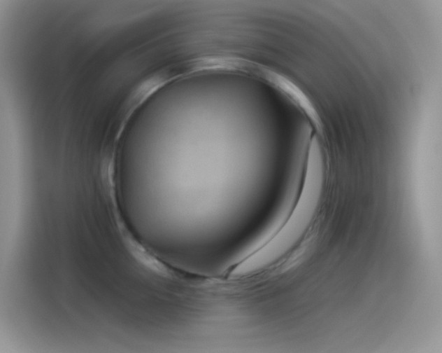 X0000114090954200910131254