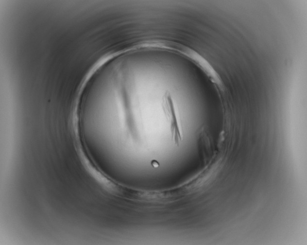 X0000114090955200910131254