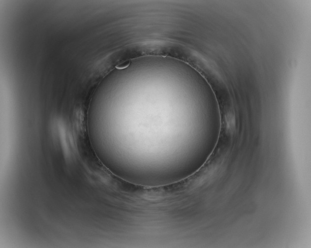 X0000114090964200910131253