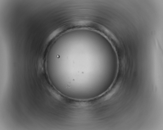 X0000114090970200910131253