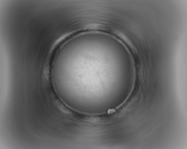 X0000114090971200910131253