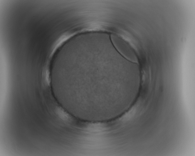 X0000114090973200910131253