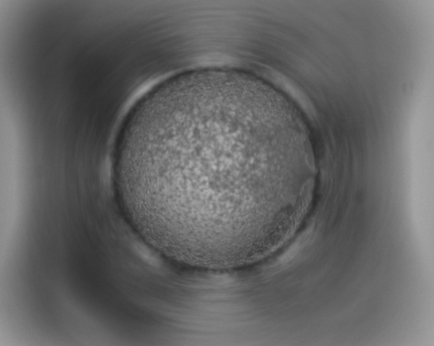 X0000114090975200910131253
