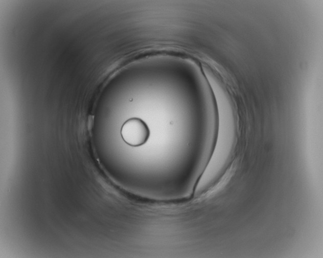 X0000114090977200910131253