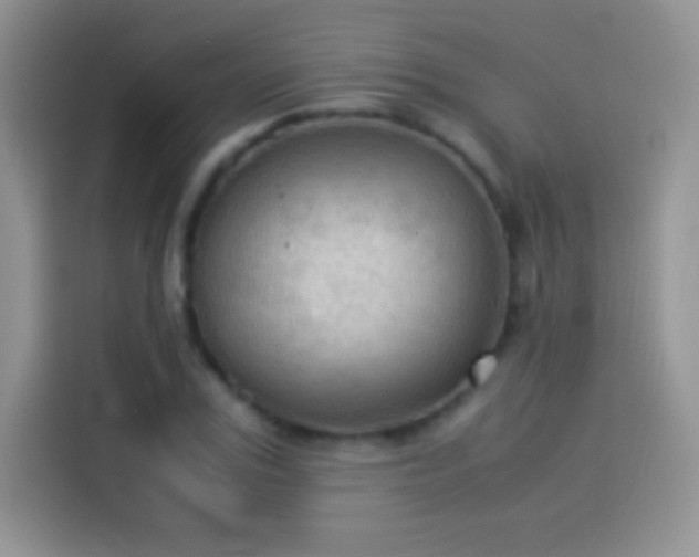 X0000114090979200910131253