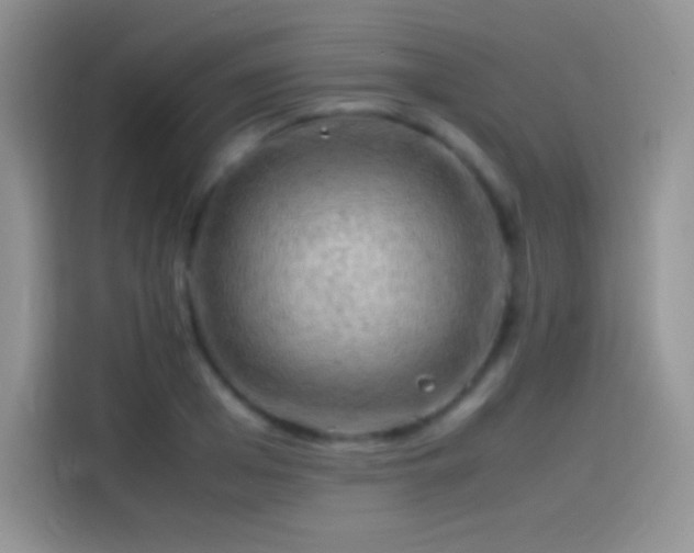 X0000114090985200910131253