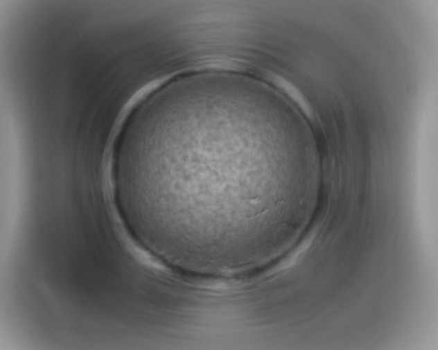 X0000114090987200910131253