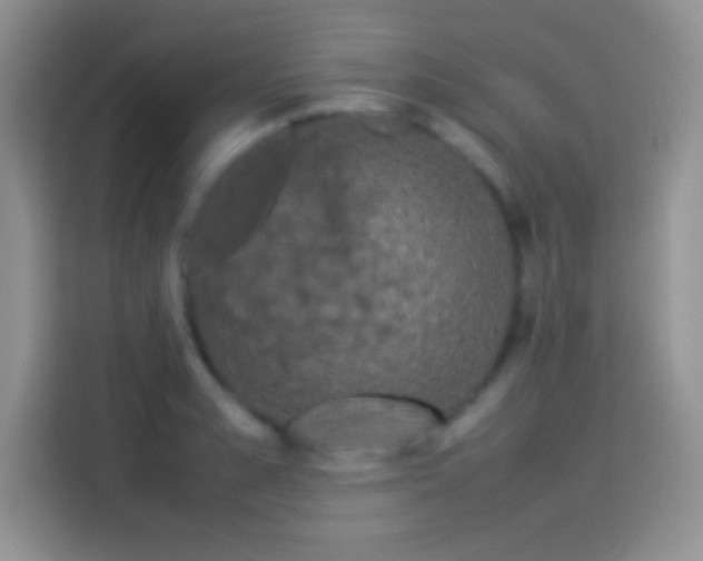 X0000114090989200910131253