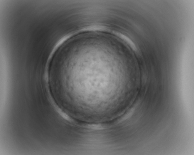 X0000114090990200910131253