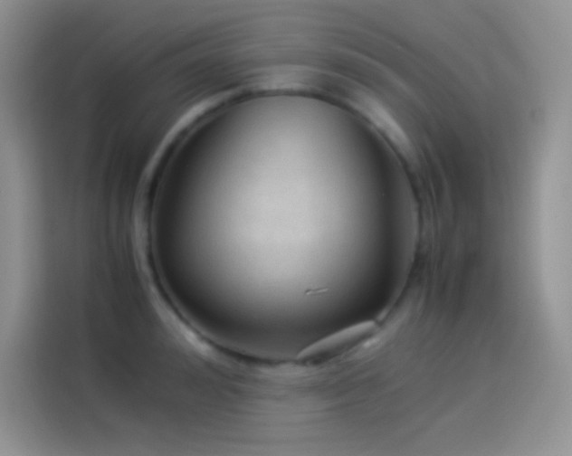 X0000114090992200910131253