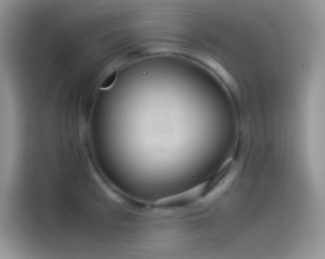 X0000114090993200910131253