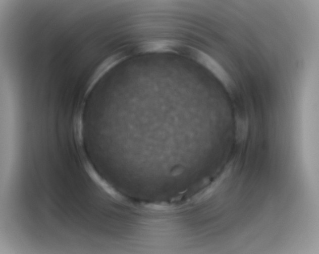 X0000114090994200910131253