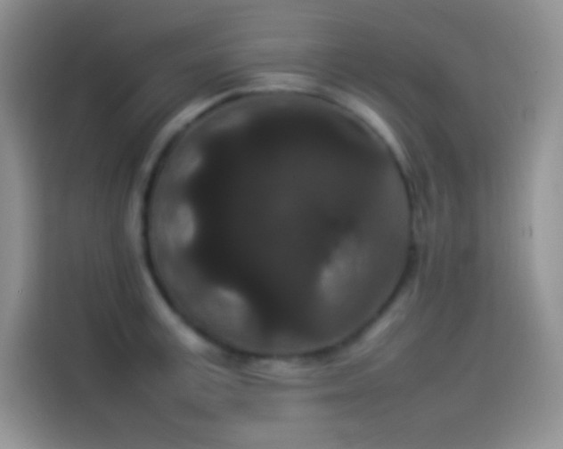 X0000114090995200910131253