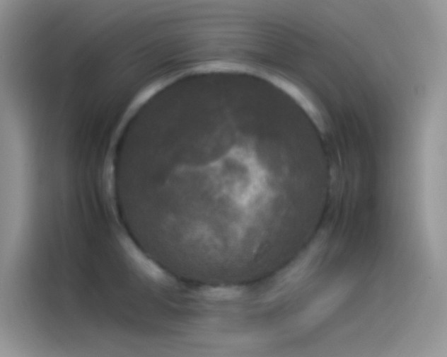 X0000114090998200910131253