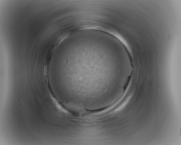 X0000114091001200910131253